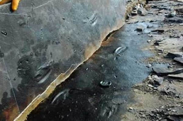 �������㼣