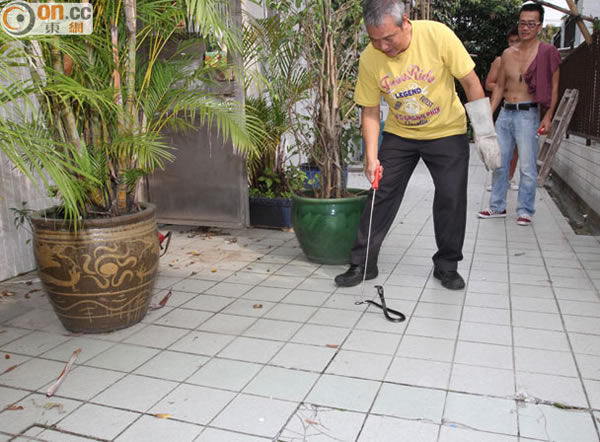 ��������ǯ��׽����ͷ