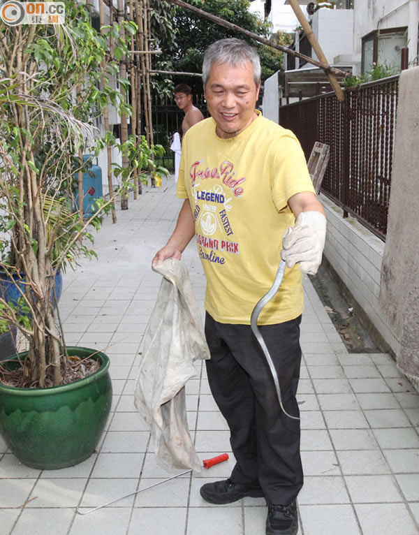 ����׽��Ů�о綾