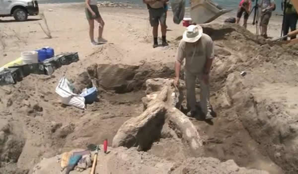 ������ī��������ɽ�����ҹ�԰����300����ǰ����ʷǰ����ʯ