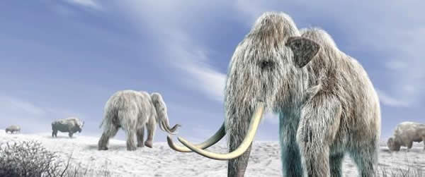 �����о���Ϊ���������ڹ��İ����²�ɱ������