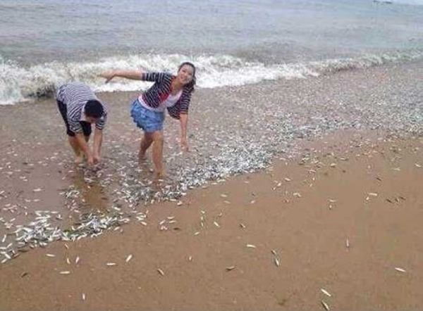 ��������С�㱻̨�紵�Ϻ�̲