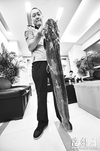 �����󺣹�԰�ڵ�����������㣨���㣩