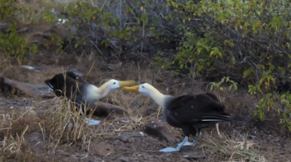 ��϶�������͸�Ⱥ����������Ȥ��ż