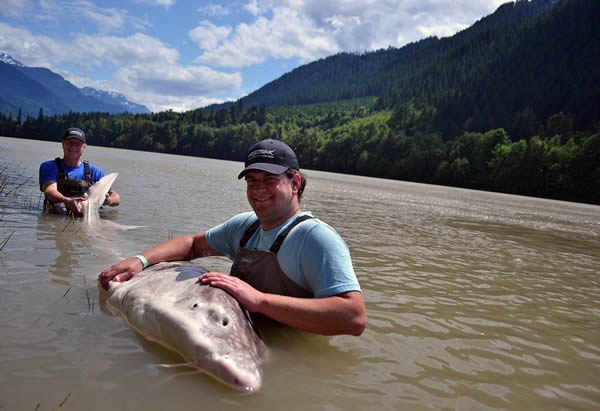 ����һ�Ը����ں��в���800���������Ź���Ȼ