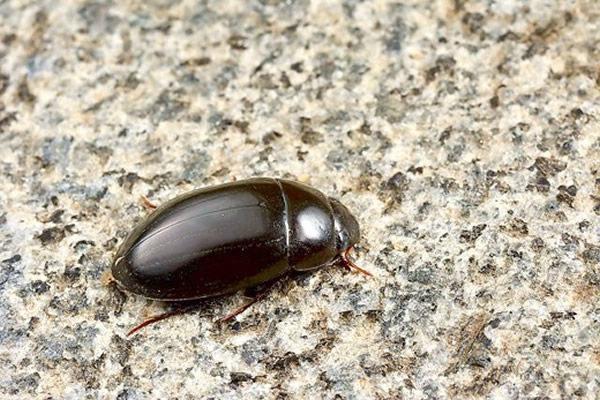 ̨�����ֲ��԰������Ʒ�����桰��ͻ�����桱