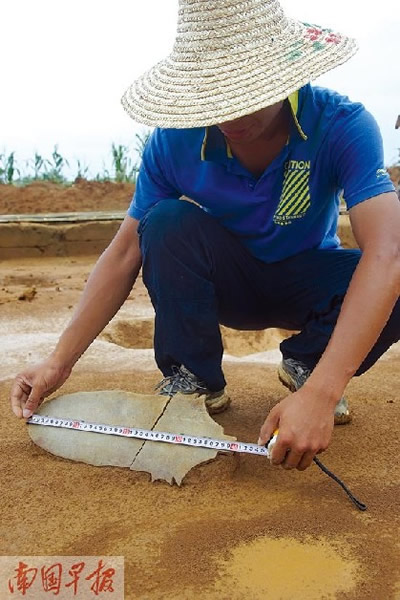 һ����ʯ����������������Լ��40���ס�