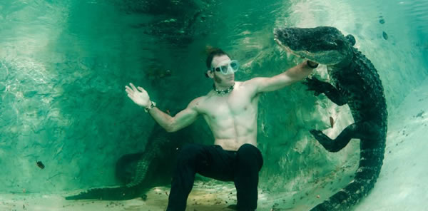 美国佛罗里达州“沼泽前哨”鳄鱼庇护所工作人员与鳄鱼共舞