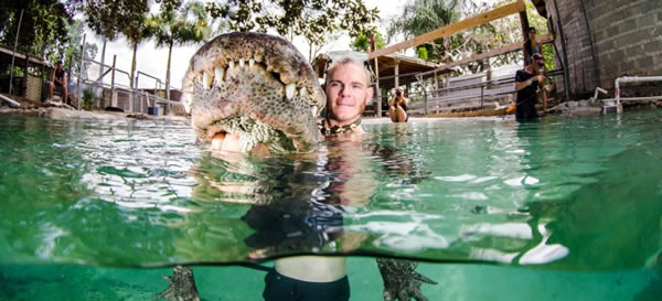 美国佛罗里达州“沼泽前哨”鳄鱼庇护所工作人员与鳄鱼共舞