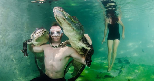 美国佛罗里达州“沼泽前哨”鳄鱼庇护所工作人员与鳄鱼共舞