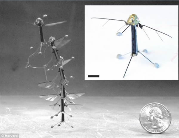美国哈佛大学科学家研制出如苍蝇般大小的世界上最小无人机