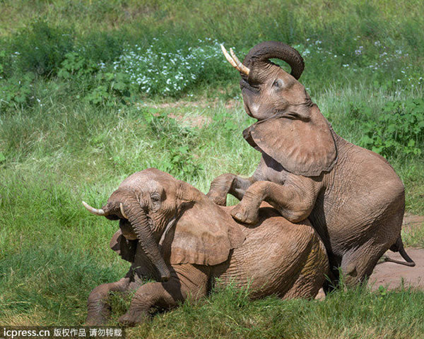 ŶŶ��ԭ���㻹���ţ�