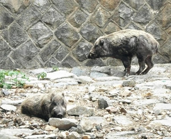 ձж̲סլֵ3췢ҰϮ¼