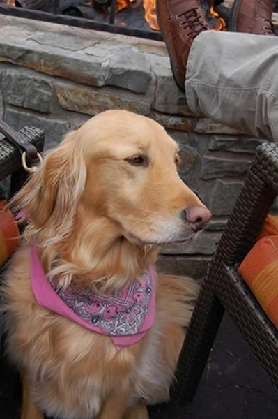 �������ݽ�ë��Ȯ����ԭ��������������ط�