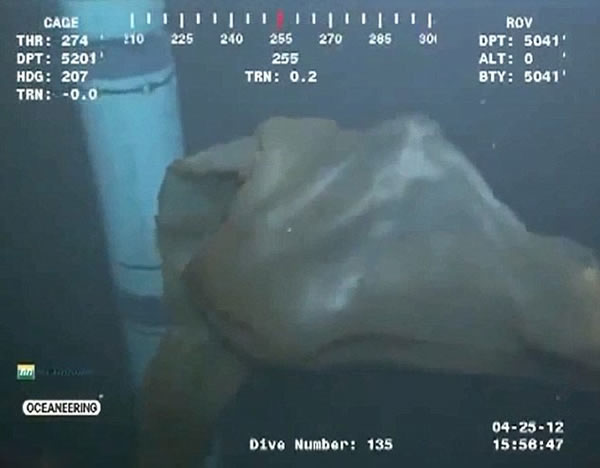 ī������5000Ӣ��������㵽�ġ����֡�֤ʵΪ̥��ˮĸ