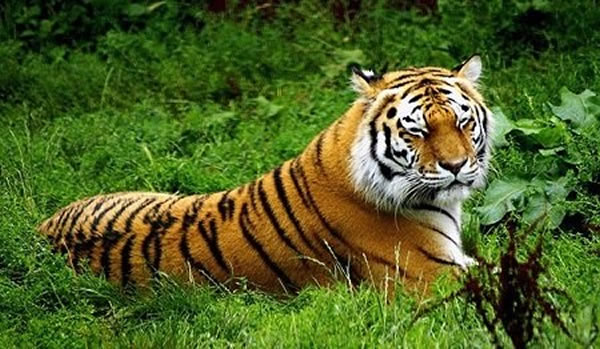 ���¶���