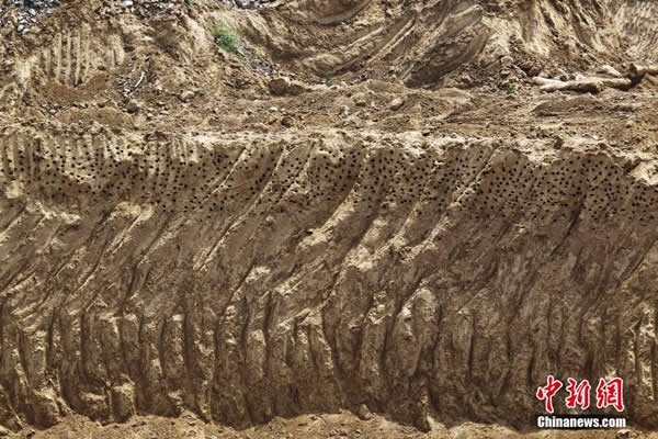 ֣�����������ػ�����ǿ�� ��ǧɳ�ࡰ����������