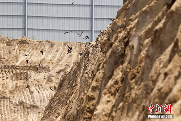 ֣�����������ػ�����ǿ�� ��ǧɳ�ࡰ����������