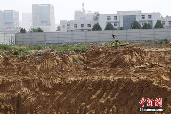 ֣�����������ػ�����ǿ�� ��ǧɳ�ࡰ����������