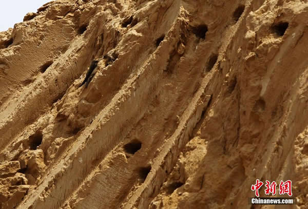 ֣�����������ػ�����ǿ�� ��ǧɳ�ࡰ����������