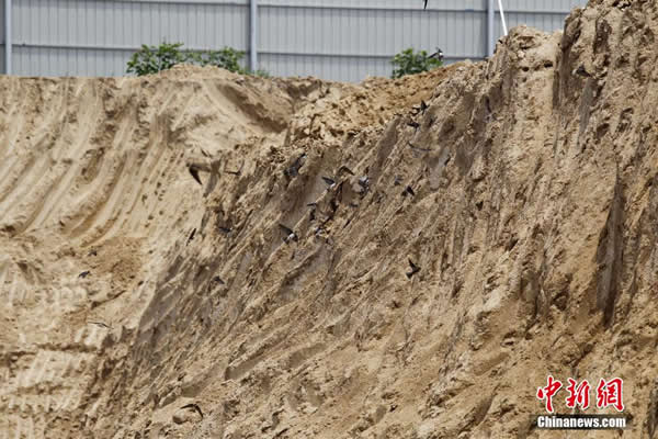 ֣�����������ػ�����ǿ�� ��ǧɳ�ࡰ����������