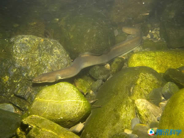 �ձ�����