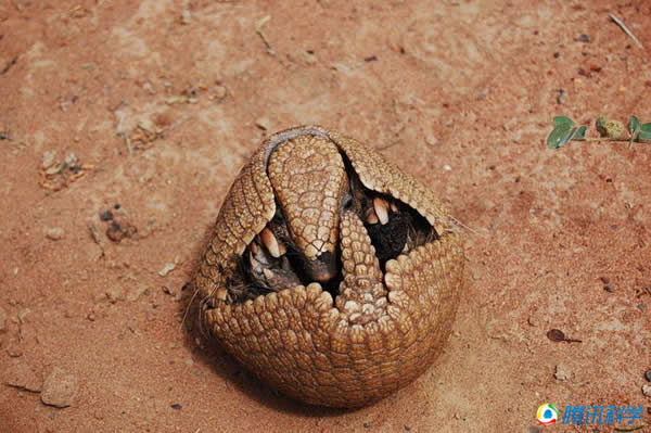 ������������