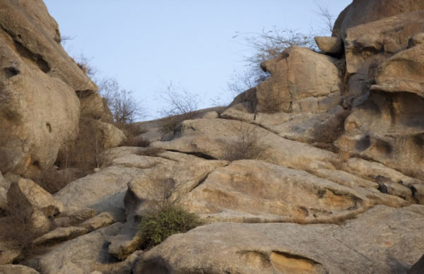 αװ���֣�ӡ�Ƚ�Ǯ���뻷����Ϊһ��