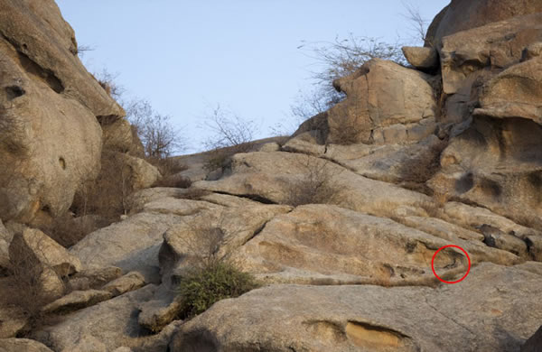 αװ���֣�ӡ�Ƚ�Ǯ���뻷����Ϊһ��