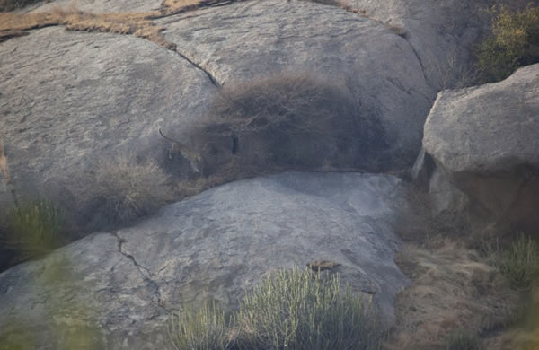 αװ���֣�ӡ�Ƚ�Ǯ���뻷����Ϊһ��