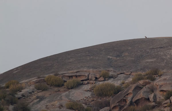 αװ���֣�ӡ�Ƚ�Ǯ���뻷����Ϊһ��