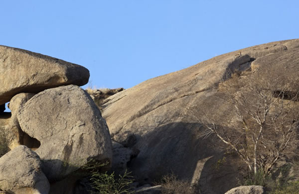 αװ���֣�ӡ�Ƚ�Ǯ���뻷����Ϊһ��