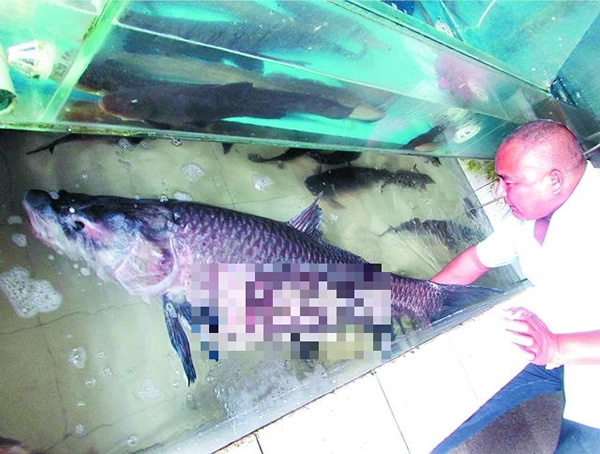 ϰϪһ130​​1.6׵Ĵ