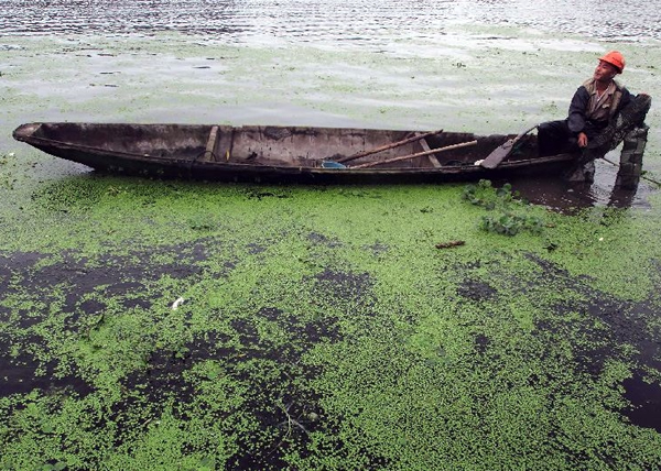 大运河水质污染严重