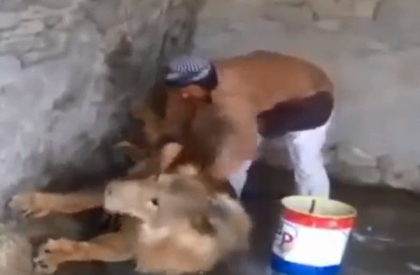 ӰʨӰڵϳˮϴʨӿ䡣