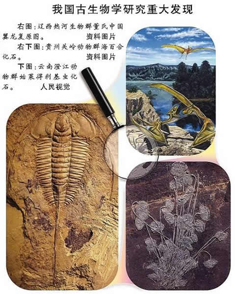 走近小众的古生物学专业