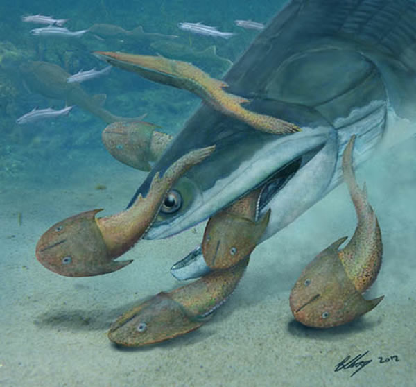 最新发现的钝齿宏颌鱼（Megamastax amblyodus）复原图