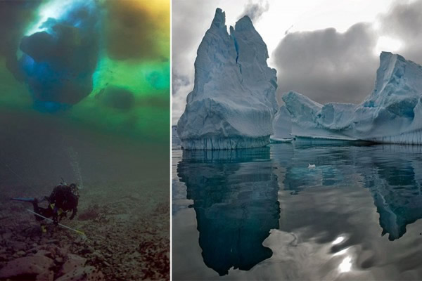 南极洲冰山让海底生命遭受灭顶之灾