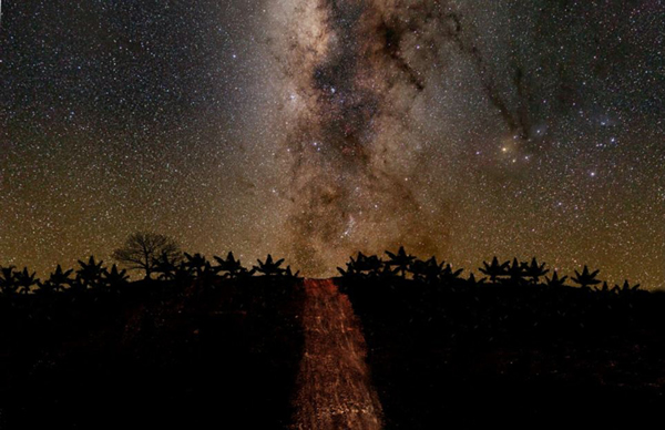 英国皇家格林尼治天文台还为参赛者们准备了一个指导手册(作者:Leonardo Delgado Ariza)