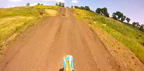 俄罗斯摩托车手比赛时意外撞死在路上打盹的母牛