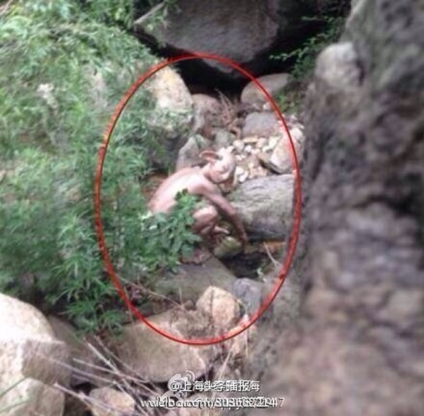 北京怀柔惊现怪兽?