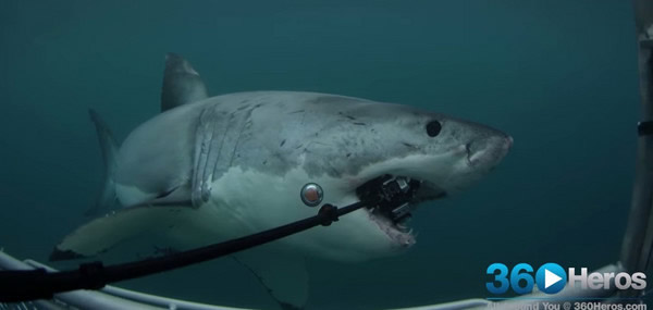 ���������������ι���ҧ��������Ӱ������