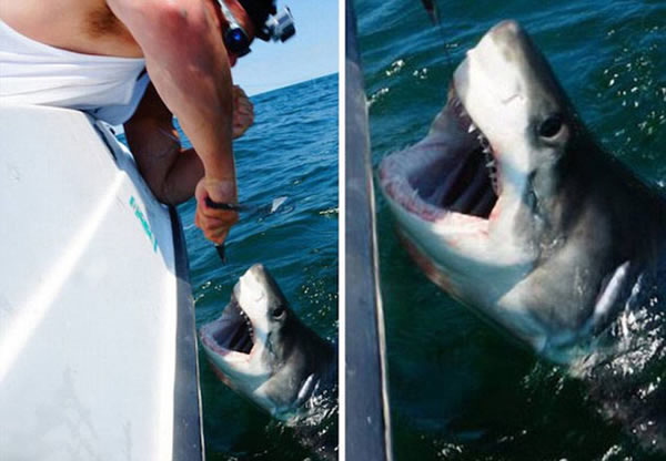 �������ӵ����������