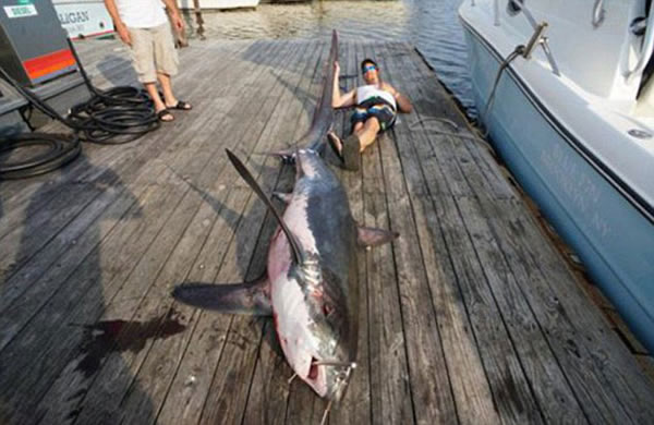 �������ӵ����������