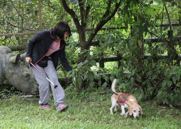 ̨�����Ȯ�׸�³�����������ȷ����ľ�ָ������Ƴɹ�