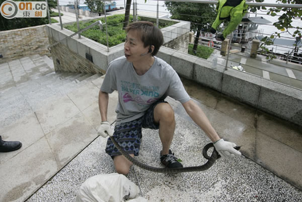 ������������׽��