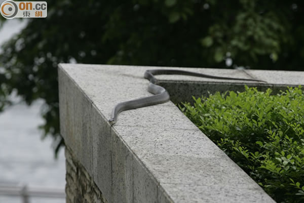 ˮ�����ڻ����ǻ�