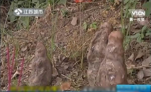 �Ͼ�����ð��������������������������Ĥ��