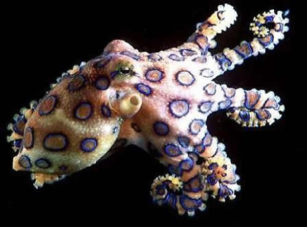 ������������������ɫө��ߵ㡣(����ͼƬ)