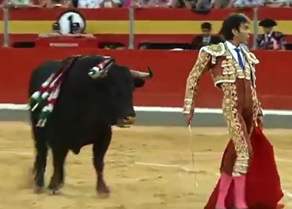 ��ţʿ�����ţվ�����ڳ�ʤ����̬��